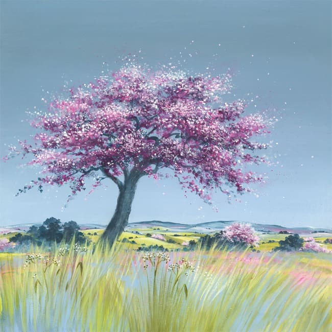 DD105 Blossom Trees-0