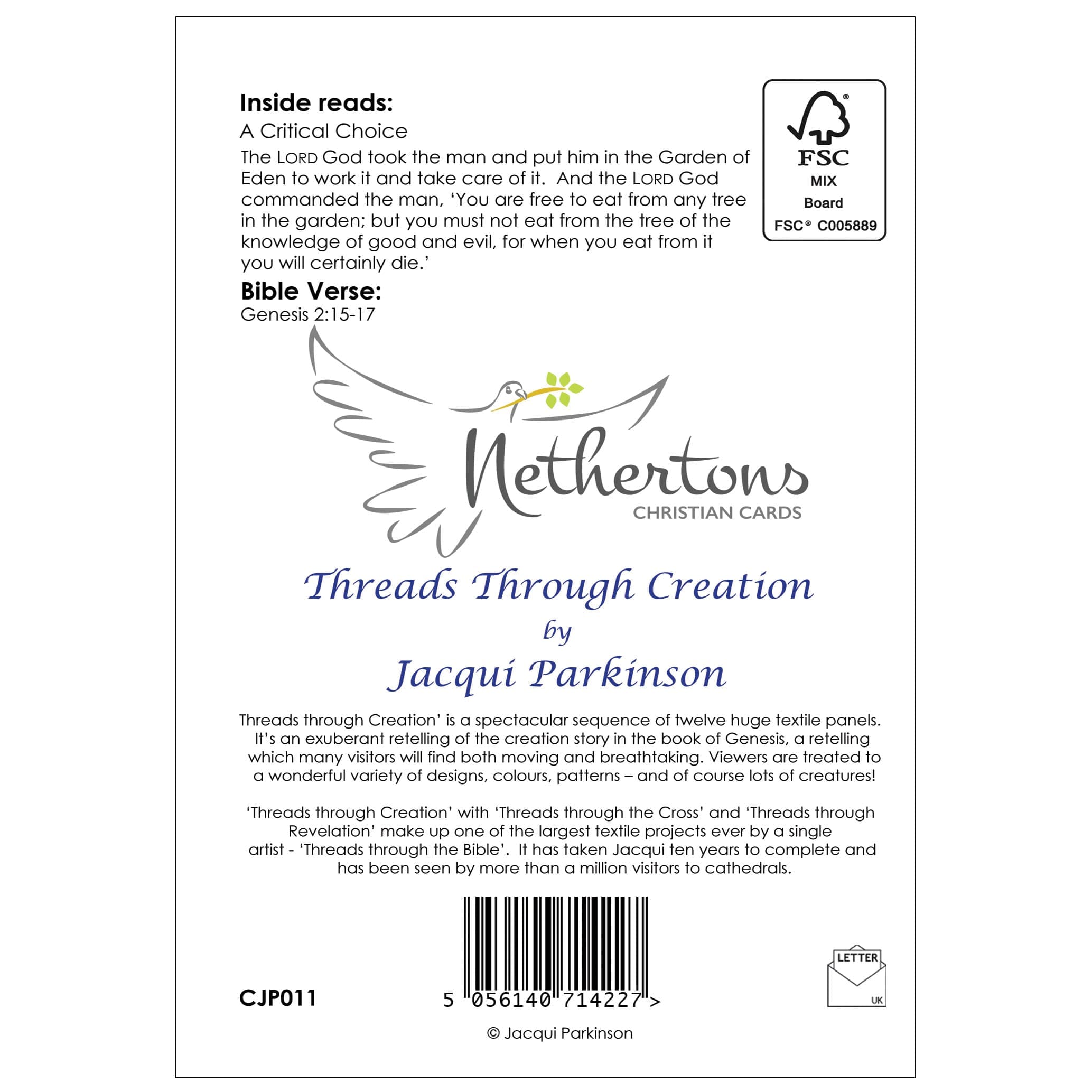 CJP011 - Creation - A Critical Choice (Christian) - Image 2